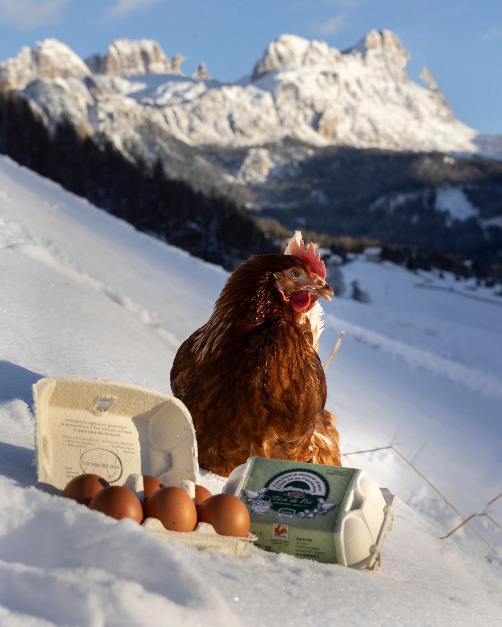Hotel Luech Da Pcei San Cassiano  Esterno foto