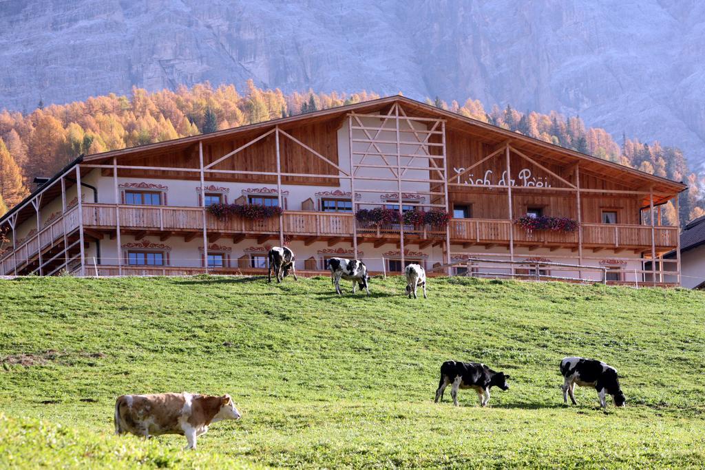 Hotel Luech Da Pcei San Cassiano  Esterno foto